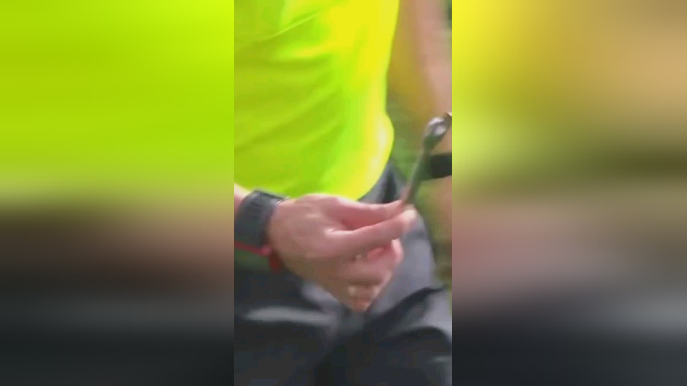趣那么是